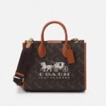 Coach Cross Bag For Women