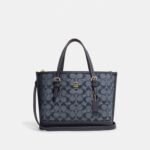 Coach Cross Bag For Women