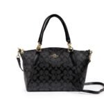 Coach Cross Bag For Women